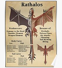 Rathalos Anatomy Poster Poster