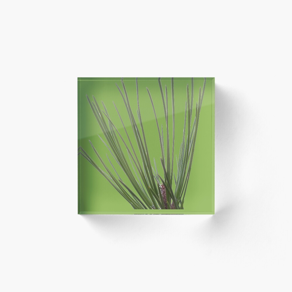 Item preview, Acrylic Block designed and sold by robelf.