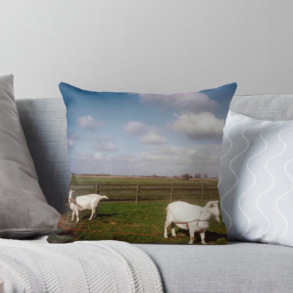 Aperçu de l'œuvre Two Cute White Goats in Netherlands créée et vendue par NatashaHartling.