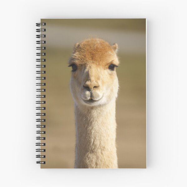 Item preview, Vicuna designed and sold by rawshutterbug.