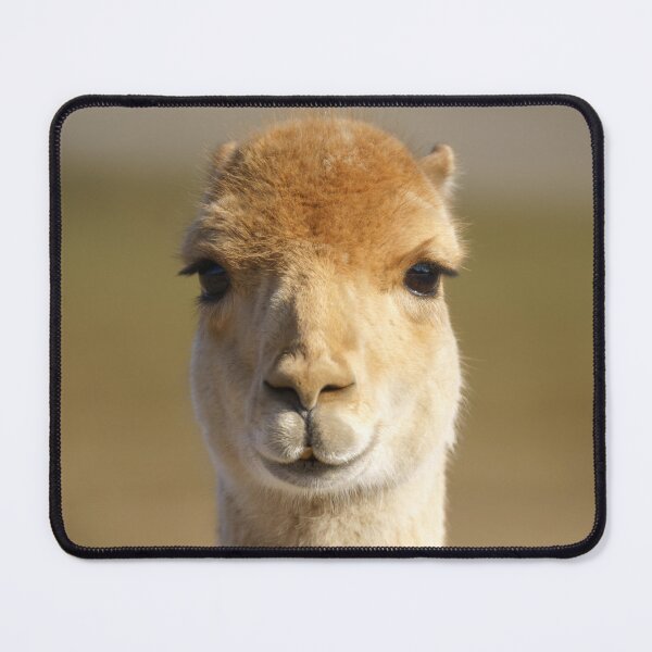 Item preview, Vicuna designed and sold by rawshutterbug.