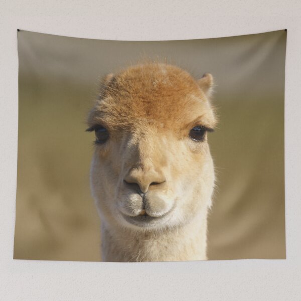Item preview, Vicuna designed and sold by rawshutterbug.