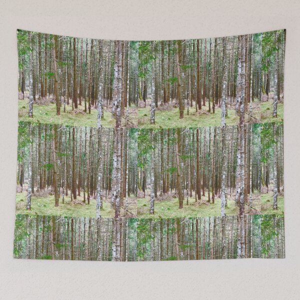 Item preview, Enchanted Forest designed and sold by Christine  Wilson Photos.