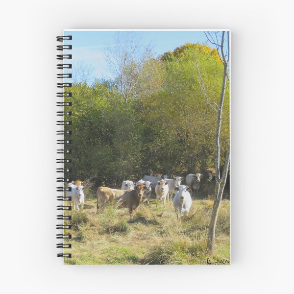 Item preview, Twelve cows designed and sold by AHELENE.