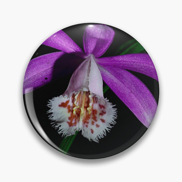 Item preview, Himalayan Orchid designed and sold by MarkFoleyPhoto.