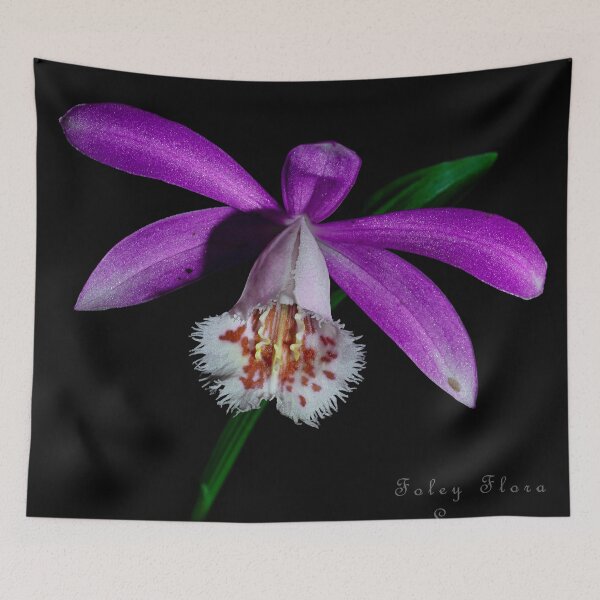Item preview, Himalayan Orchid designed and sold by MarkFoleyPhoto.