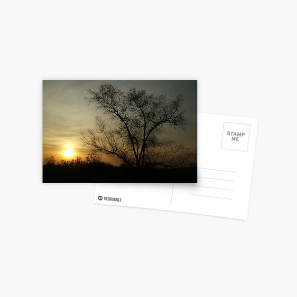 Amber Light Postcard