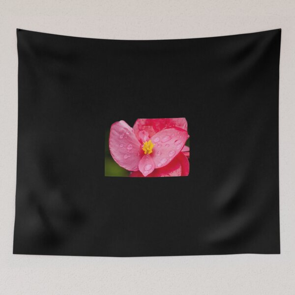 Item preview, Deep Pink Begonia Flower designed and sold by bolvintra.