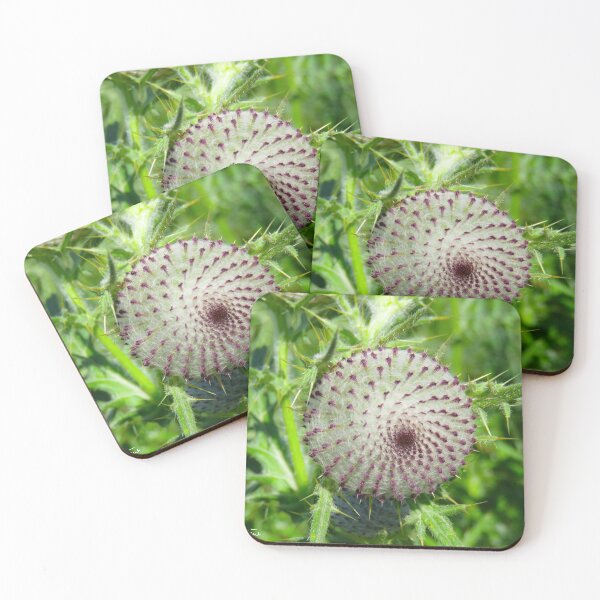 Item preview, Cirsium eriophorum designed and sold by AHELENE.