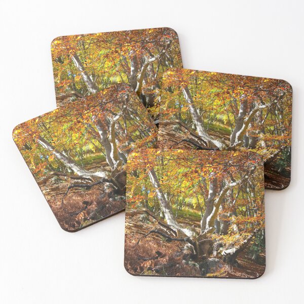Item preview, Forest designed and sold by AHELENE.