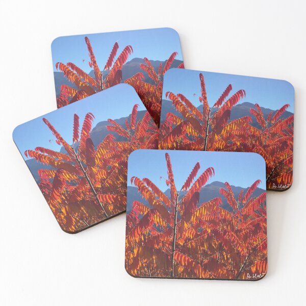 Item preview, sumac vinaigrier rouge designed and sold by AHELENE.