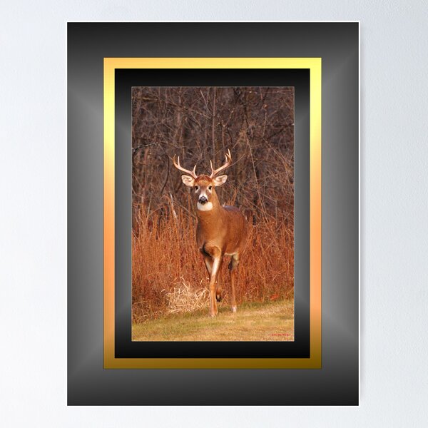 Item preview, "Hey, remember me?!" - for Eyal :) (framed for wall art/prints) designed and sold by TerriRiver.