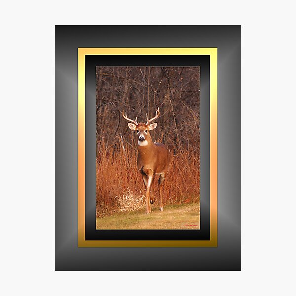 Item preview, "Hey, remember me?!" - for Eyal :) (framed for wall art/prints) designed and sold by TerriRiver.
