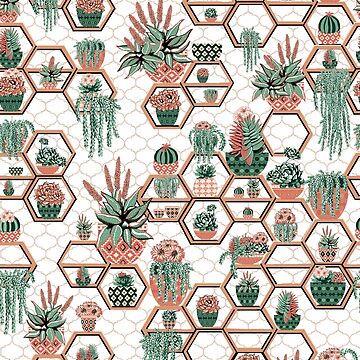 Artwork thumbnail, Cacti and Succulent Hexagon Moroccan Garden by MagentaRose