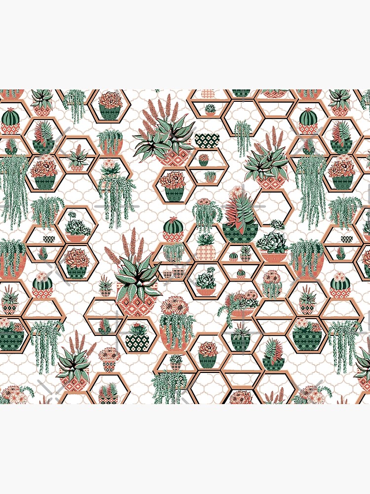hexagon geometric pattern, 2020, cacti garden, Cacti and Succulent Garden by MagentaRose