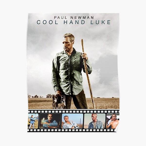 Cool Hand Luke Poster Poster For Sale By Kingbadum98 Redbubble   Poster,504x498,f8f8f8 Pad,600x600,f8f8f8 