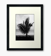 Palme Fidschi gerahmter Druck Gerahmtes Wandbild