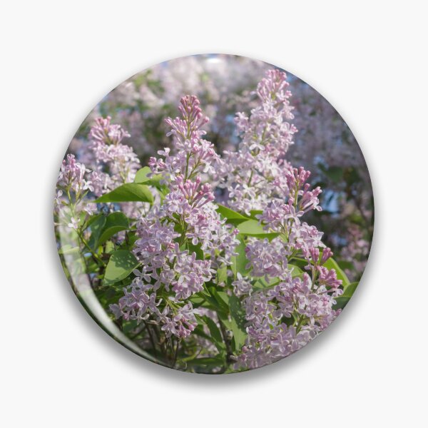 Item preview, Springtime Aromatherapy - Sweet Smelling Lilac Trees in Bloom designed and sold by Georgia Mizuleva.