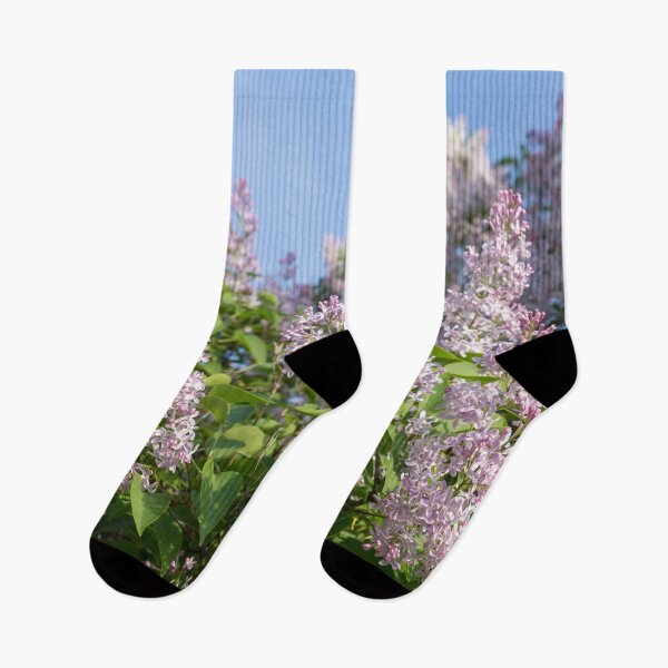 Item preview, Springtime Aromatherapy - Sweet Smelling Lilac Trees in Bloom designed and sold by Georgia Mizuleva.