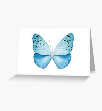 MISS BUTTERFLY XRAY Euploea White Edition Grußkarte
