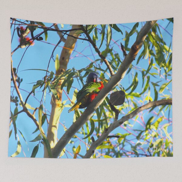 Item preview, Rainbow lorikeet designed and sold by AHELENE.