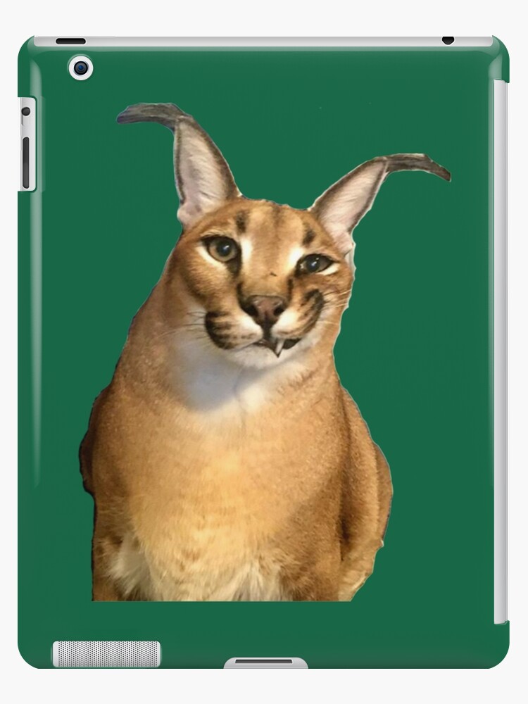 FLOPPA CAT \ CARACALS / GOOD AT MATH | iPad Case & Skin