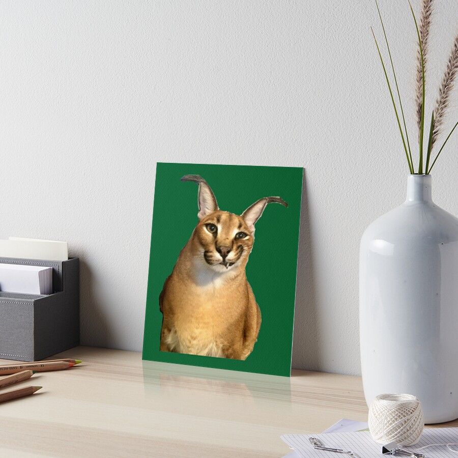 FLOPPA CAT \ CARACALS / GOOD AT MATH Art Board Print for Sale by Mad-Boy