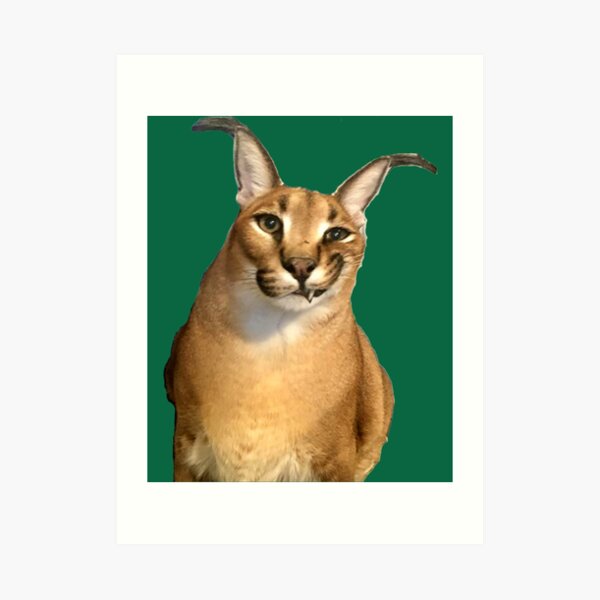 Big Floppa - Caracal meme cat / fat floppa / cursed floppa | Art Board Print