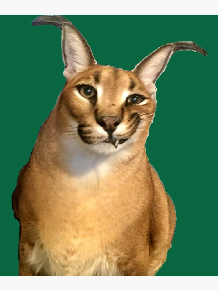 Baby Floppa meme Big floppa caracal Poster for Sale by giftycat