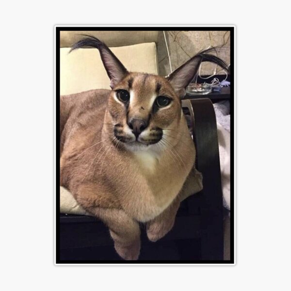 Baby Floppa meme Big floppa caracal Poster for Sale by giftycat