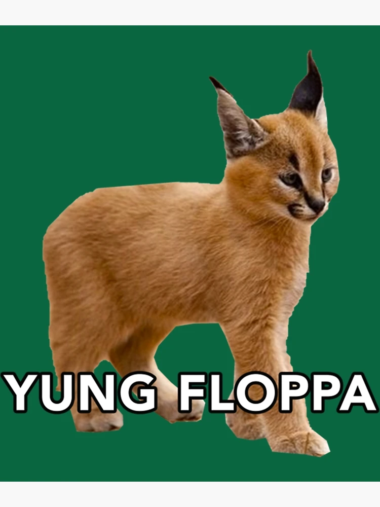 Ploob meme day . . . . . . #ploob #floppa #funnymemes #caracal