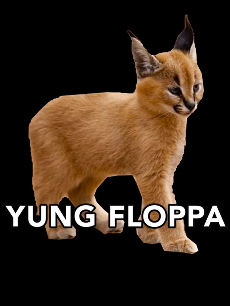 Baby Floppa : r/bigfloppa