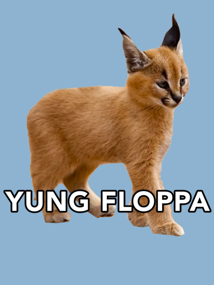 i lost #staringcontest #stare #eyes #ears #floppa #meme #caracal