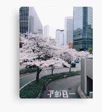 Tokyo Canvas Print