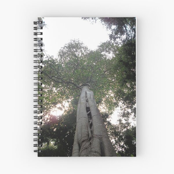 Item preview, Looking up designed and sold by Jodie Cooper.