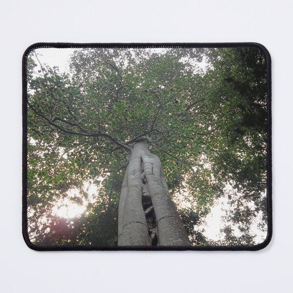 Item preview, Looking up designed and sold by Jodie Cooper.
