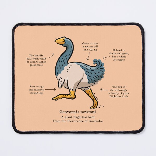 Item preview, Genyornis newtoni a giant bird of prehistoric Australia designed and sold by Richard Morden.