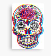 Skullduggery Metal Print