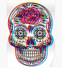Skullduggery Poster