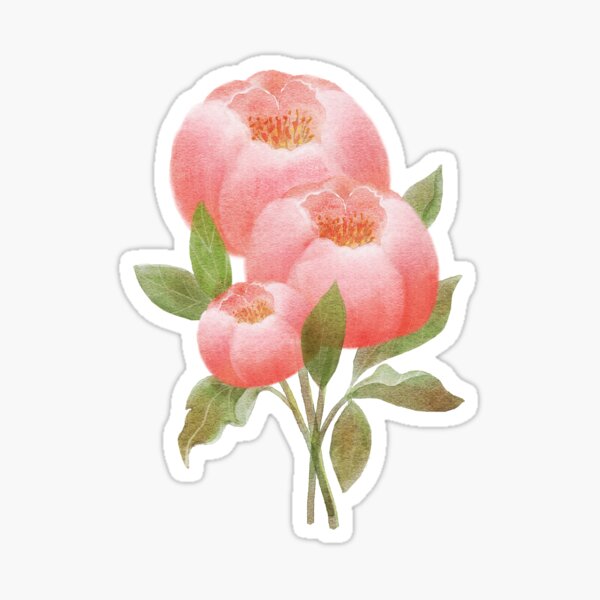 Peony Flowers Sticker