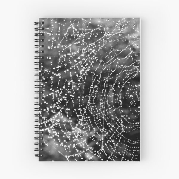 Item preview, Cobweb designed and sold by Jan Palmer.