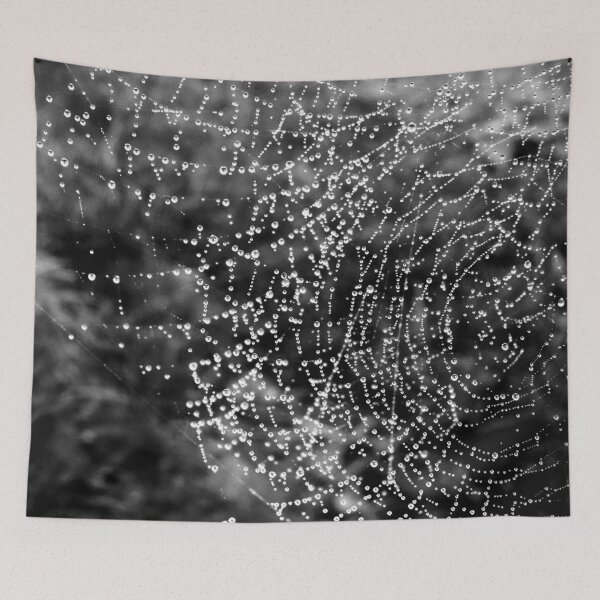 Item preview, Cobweb designed and sold by Jan Palmer.