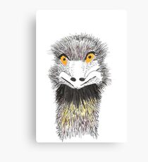 Why Always Me ! Canvas Print