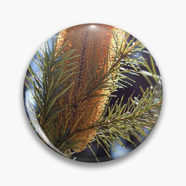 Aperçu de l'œuvre Banksia créée et vendue par MarkFoleyPhoto.