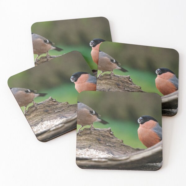 Item preview, Female And Male Bullfinch designed and sold by rawshutterbug.