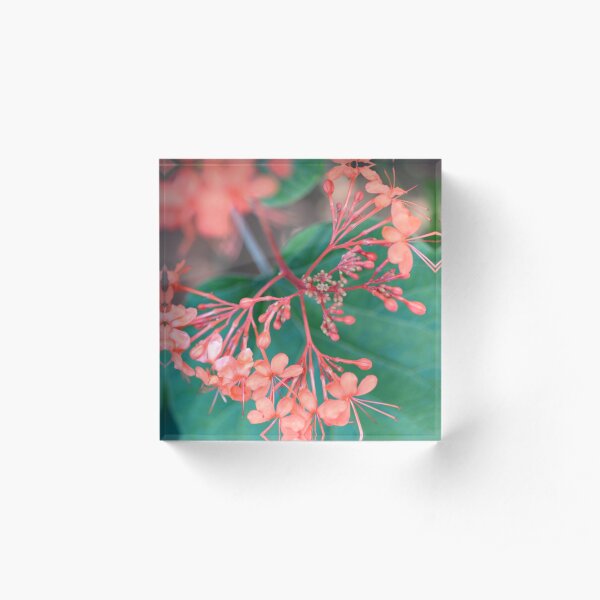 Botanical Flower Acrylic Block