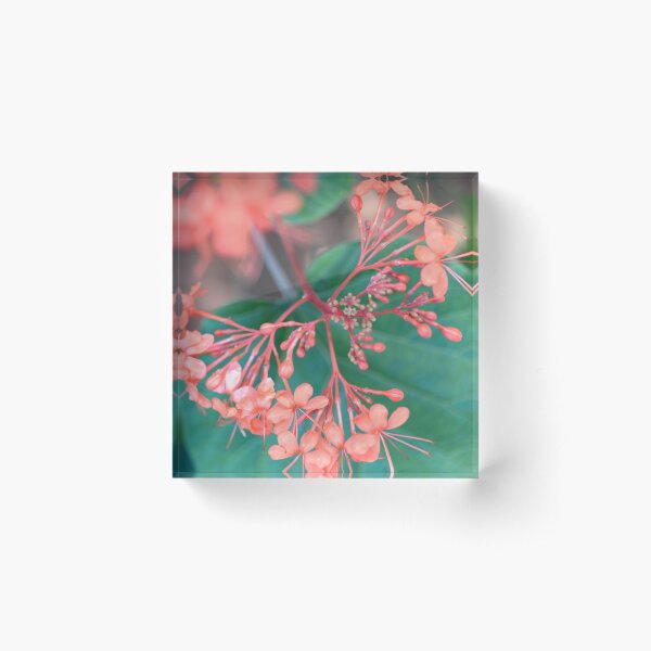 Item preview, Botanical Flower designed and sold by imaginethis.