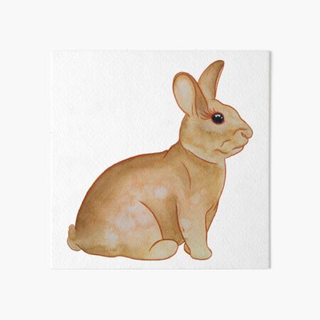 Rabbit in watercolour & coloured pencil Art Board Print