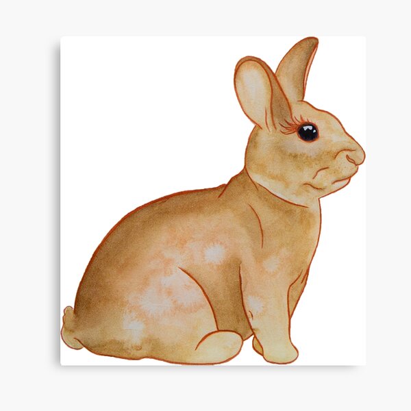 Rabbit in watercolour & coloured pencil Canvas Print
