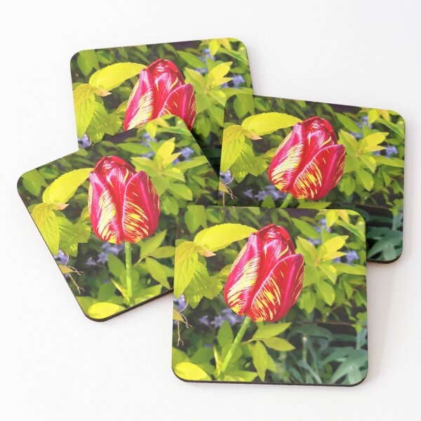 Item preview, Beautiful Variegated Tulip designed and sold by Frank  Irwin.